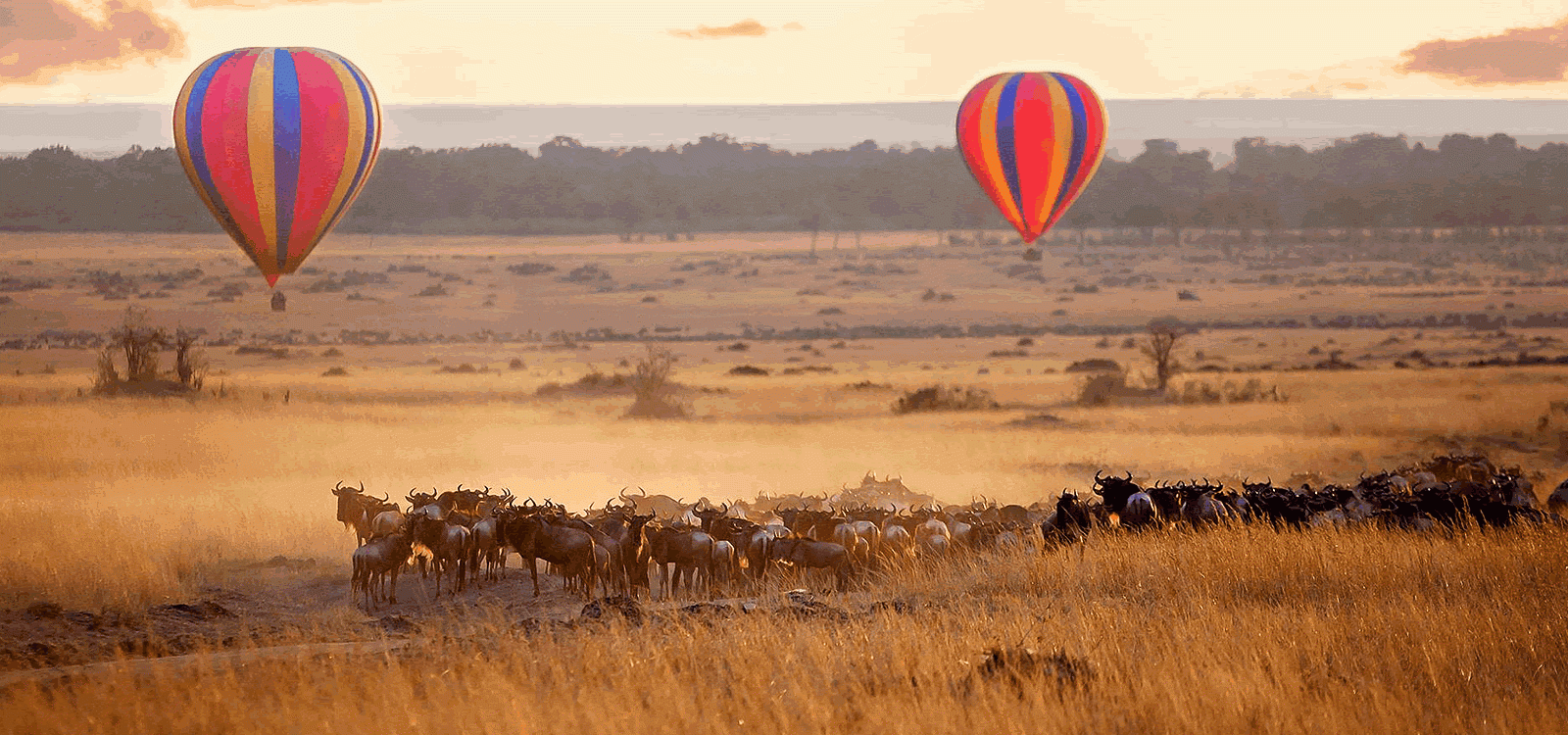 Masai mara balloon safaris